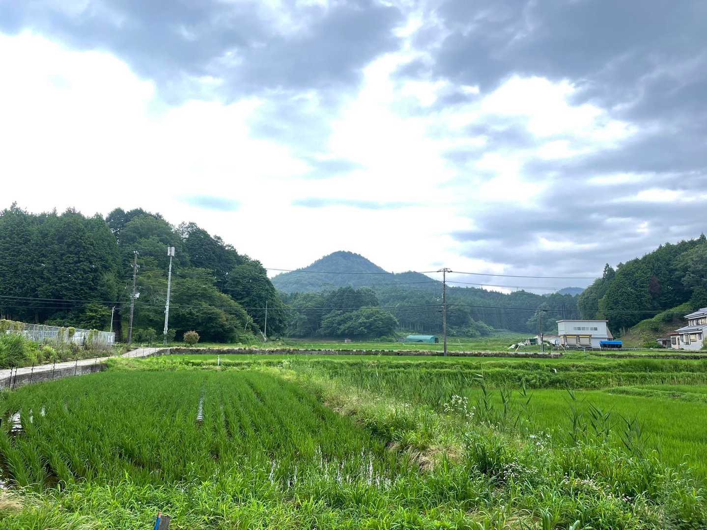 歩き始めたら、すぐにきれいな山が目に入ります。あれが都介野岳です。