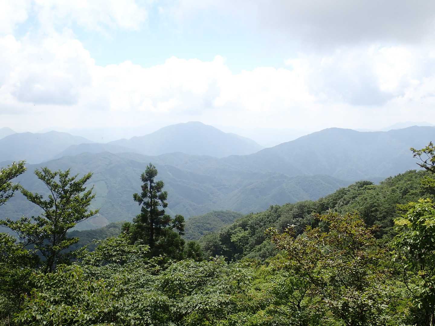 目立つのが小五郎山