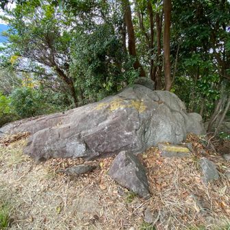 撫で撫でしました😁