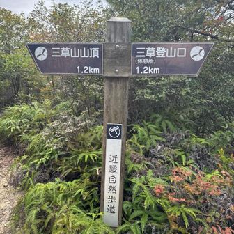 ちょうど半分