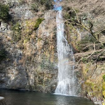 箕面大滝外人が多かったです