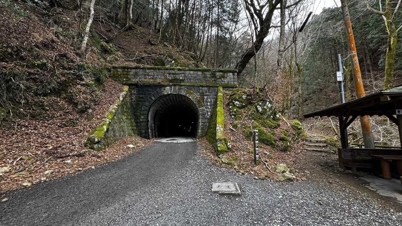 伊豆山陵線トレイル（三蓋山・水呑頭・猫越岳・後藤山・魂の山・棚場山・伽藍山・古稀山・達磨山・小達磨山） の写真 9