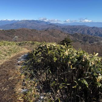 中央アルプスと南アルプスと霧氷ちょっと