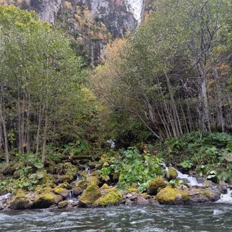 石狩川の川べりから銀河の滝の水が流れ込む地点を📸
苔むした石が並んでいてステキっ✨️