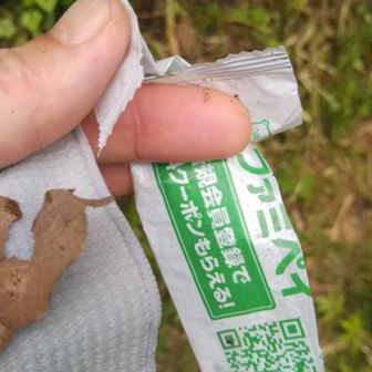 ゴミ回収