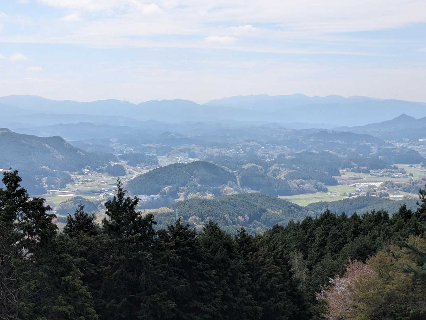 お里の桜🌸は、終わりを告げて