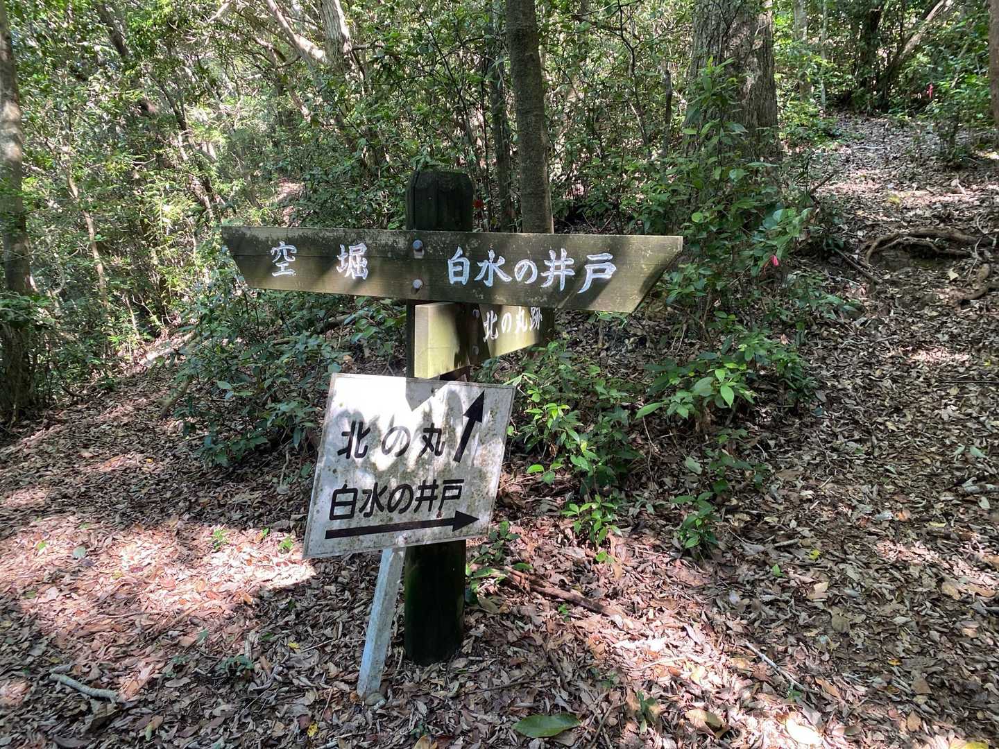 行く