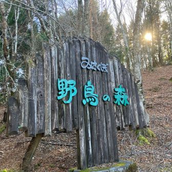 アップダウンにヘロヘロになりながら、なんとか下山！

駐車場には多くのハイカーさんがいらっしゃいました。黒法師岳までのルートではすれ違わなかったので、別のコースだったのかな？