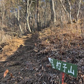 杓子山への道