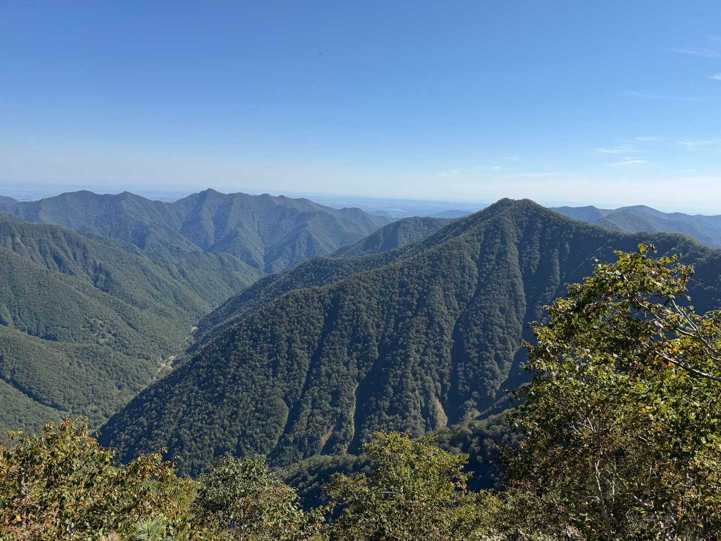 日高の山