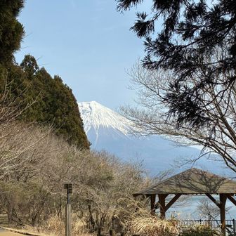 ここが富士山がより大きく見えるポイントだと思っている