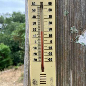 ちょうど20℃。湿度高いので結構暑かったです。汗だくになりました