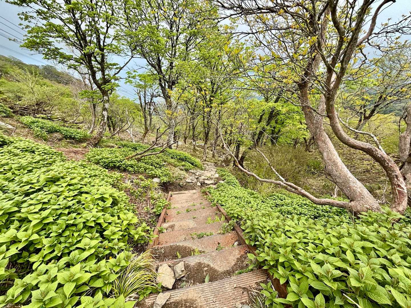 腐りかけの金属階段を降りて下山開始🥾
