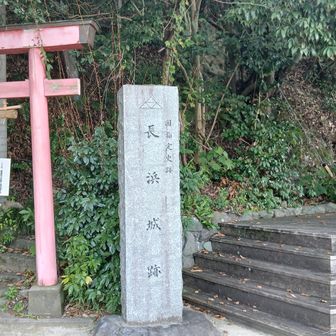 左の鳥居の先、右の木製階段、どちらでも良いが、右がおすすめ。水軍の山城へGO！