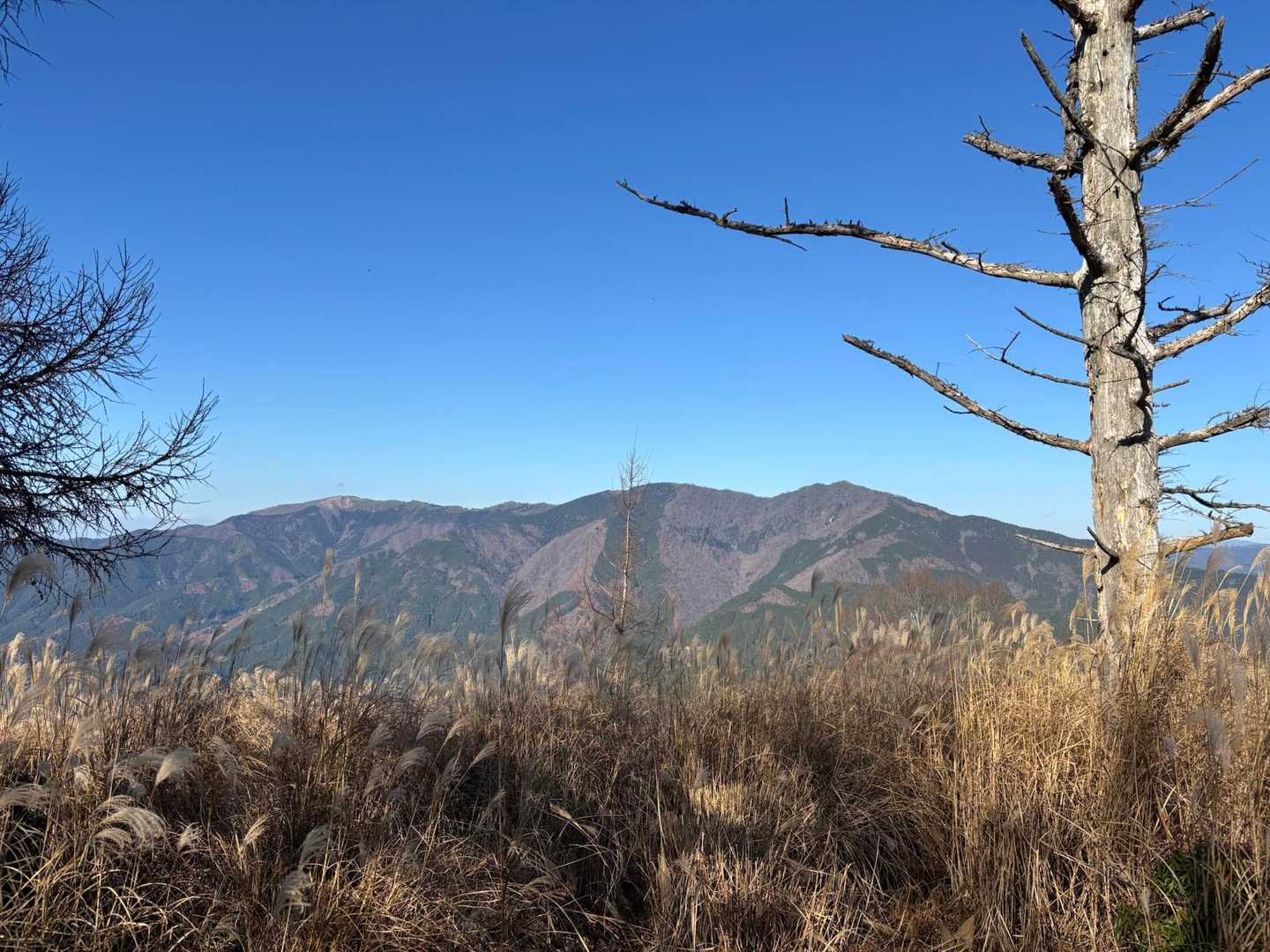 こんどは後山行ってみたいなぁ
