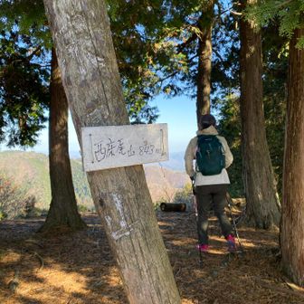 山頂はこんな感じ。東流石関西100でもある優勢。