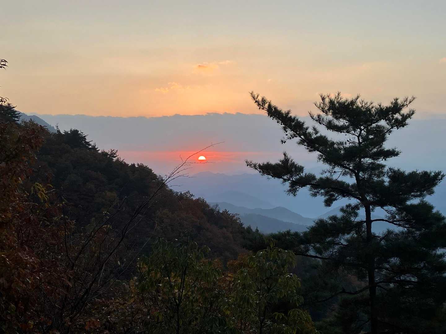 日の出🌅
霞んでますねー