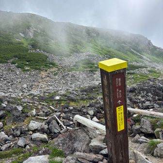 ここから浄土山を目指します