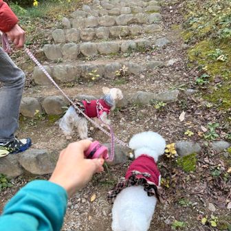 階段登ってくと