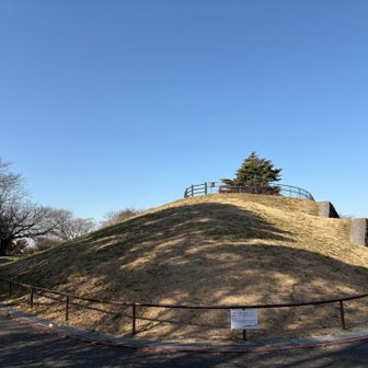 公園のほぼ中央に位置する、YAMAPでグレーピークにも登録されている見晴らし山へ向かいます。