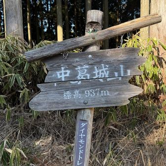 中葛城山に到着❣️
見過ごすところでした💦