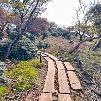 木道を新しく