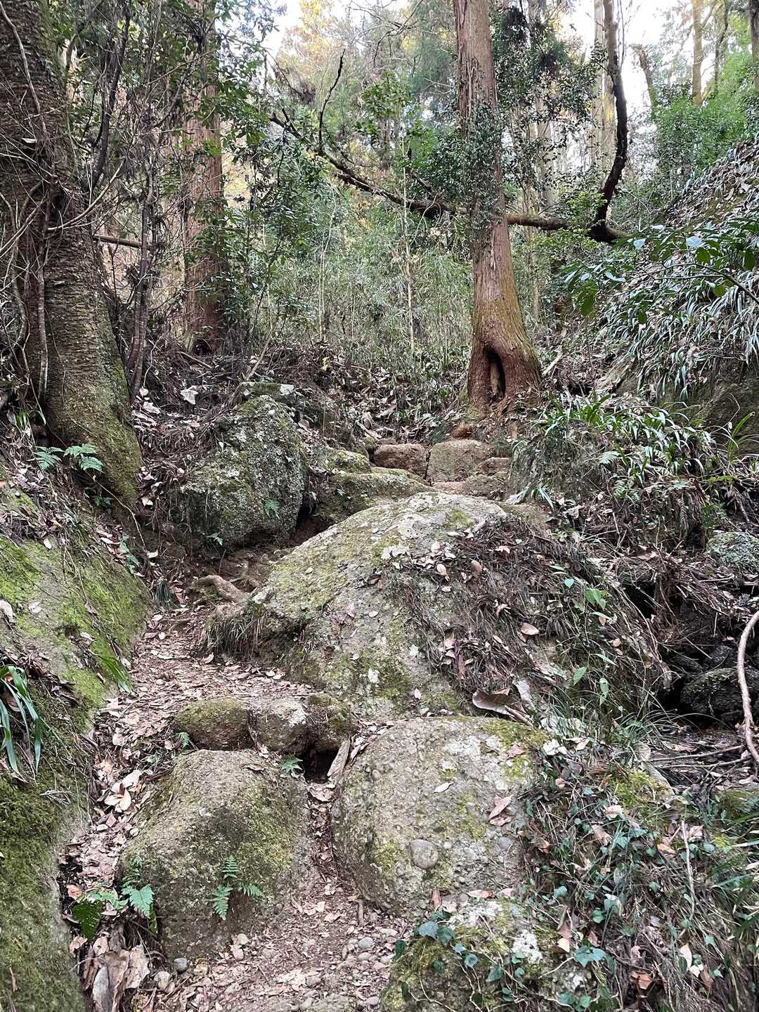 石老山 縦走コースの写真