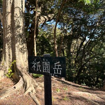 15座目
ここの急登きつかった〜