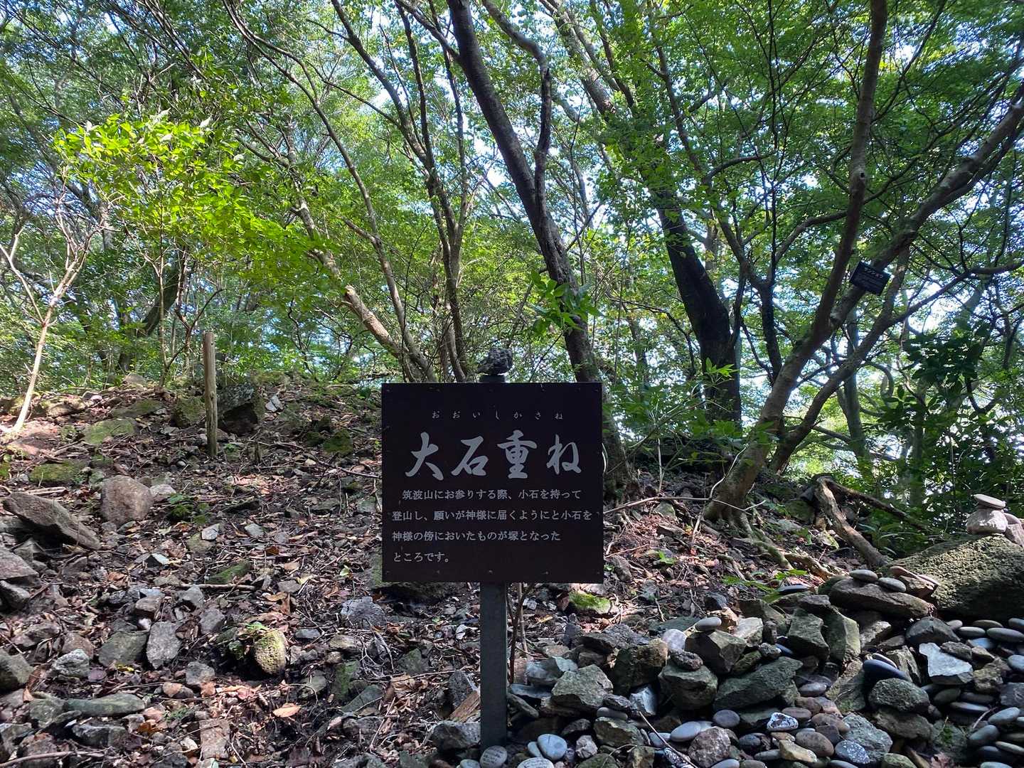 そういえば、一個置いたよ🤫