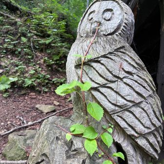やあ、お久しぶり。