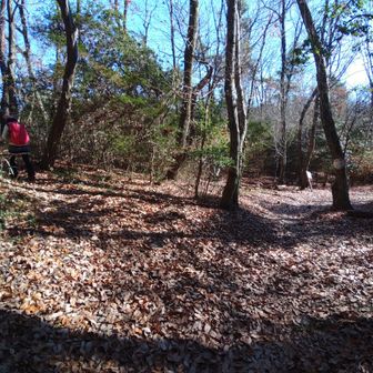 とても12月下旬とは思えない穏やかな日