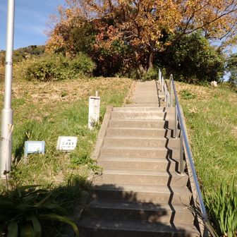公園の端から登る　看板あり