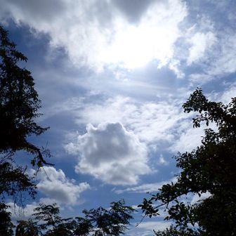 そして…空を見あげたら色んな形の雲が
プカプカ(˙˘˙ ﾐэ)Э