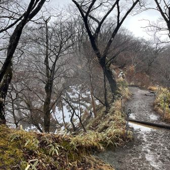 雪がまだ残ってます。