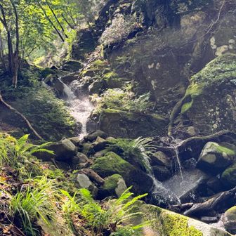 滝も昨日の雨で水量すごい
