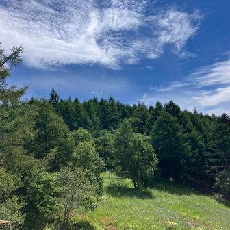 裸山山頂付近、急に開けました！