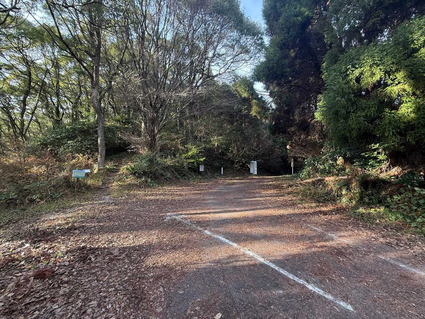 右に行けば林道かな？

林道は微妙なんで

左に行き登山道をピストンします！

もう一度

イイ景色、ツバキ

見ながら歩きます！