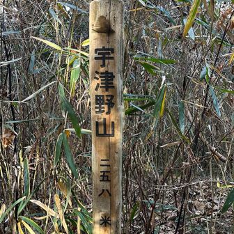 烏帽子山〜皿ヶ嶺分岐あたりまでは人気のコースらしく、ここら辺は静かでやっとゆっくり休めた