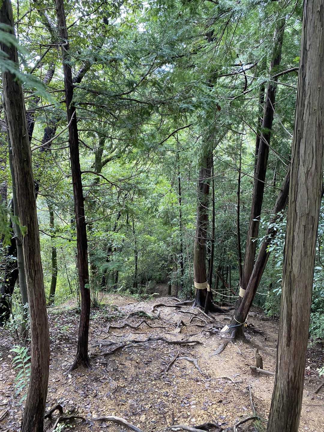 小さなアップダウンが続く
