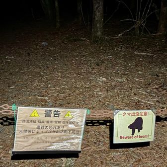 この日ばかりは、クマより警告のほうが怖い