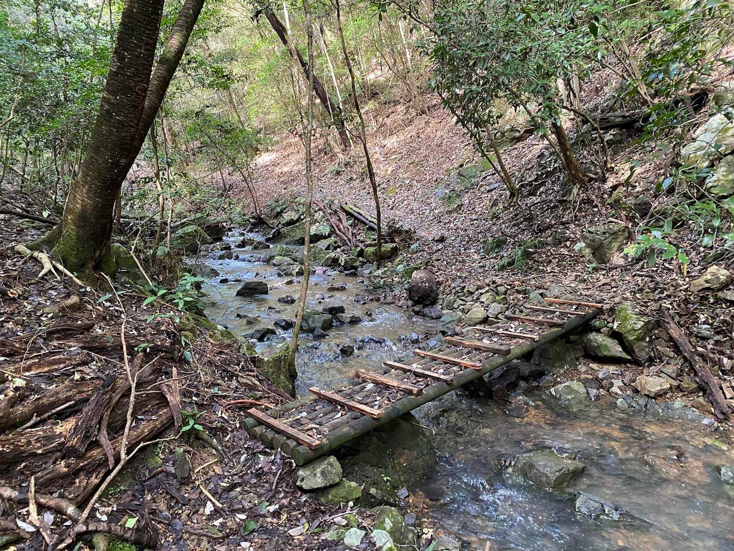 沢がある山は癒されます