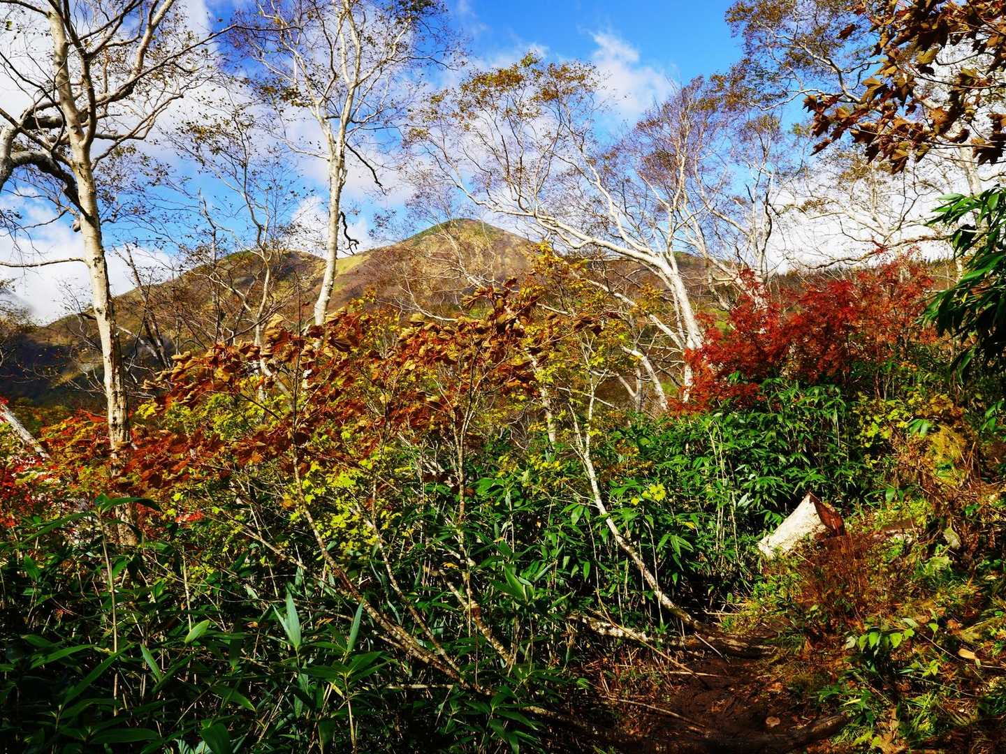 トラバースの登山道は先日の雪がぬかるんでぐちゃぐちゃ😓