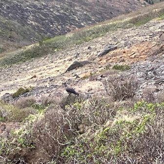 与太ハイカー YUKI