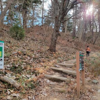 この先を左折し御台場展望台へ行ってみる👀