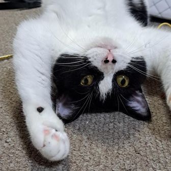 なおこ