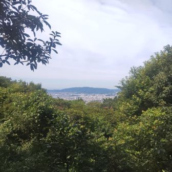 ドンドン岩から。
視界が狭い。