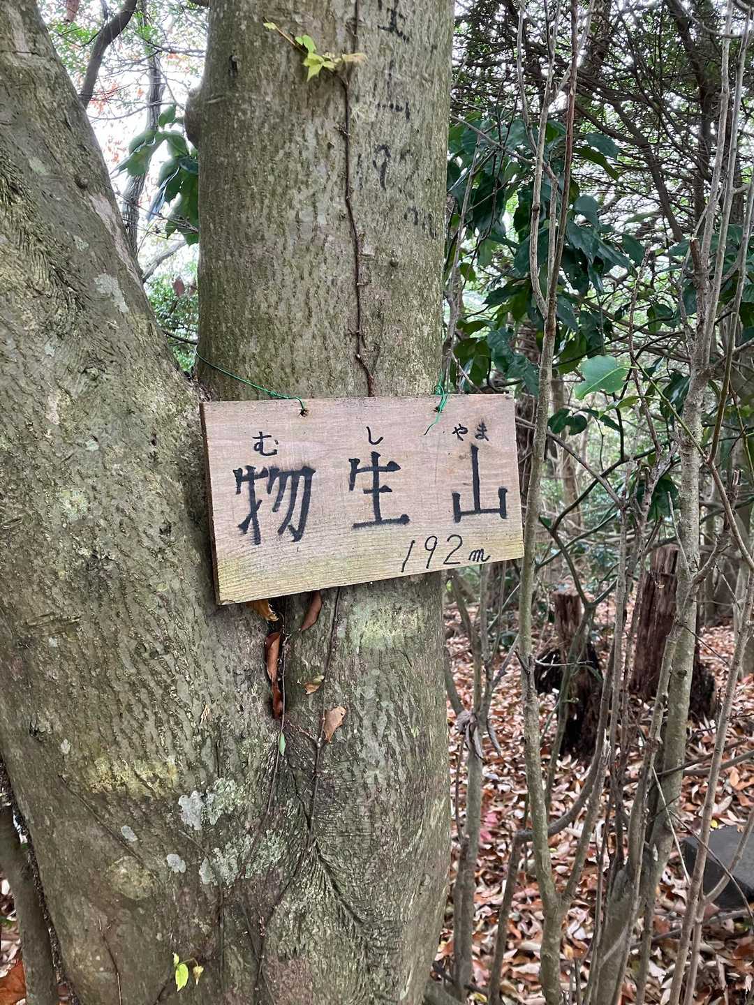 猿に熊鈴が効くのかは知らんけど
鈴をやたらめったら鳴らしながら歩いて
何とか遭遇せずに物生山🙌
弁天山までの復路も嫌だなぁ😨