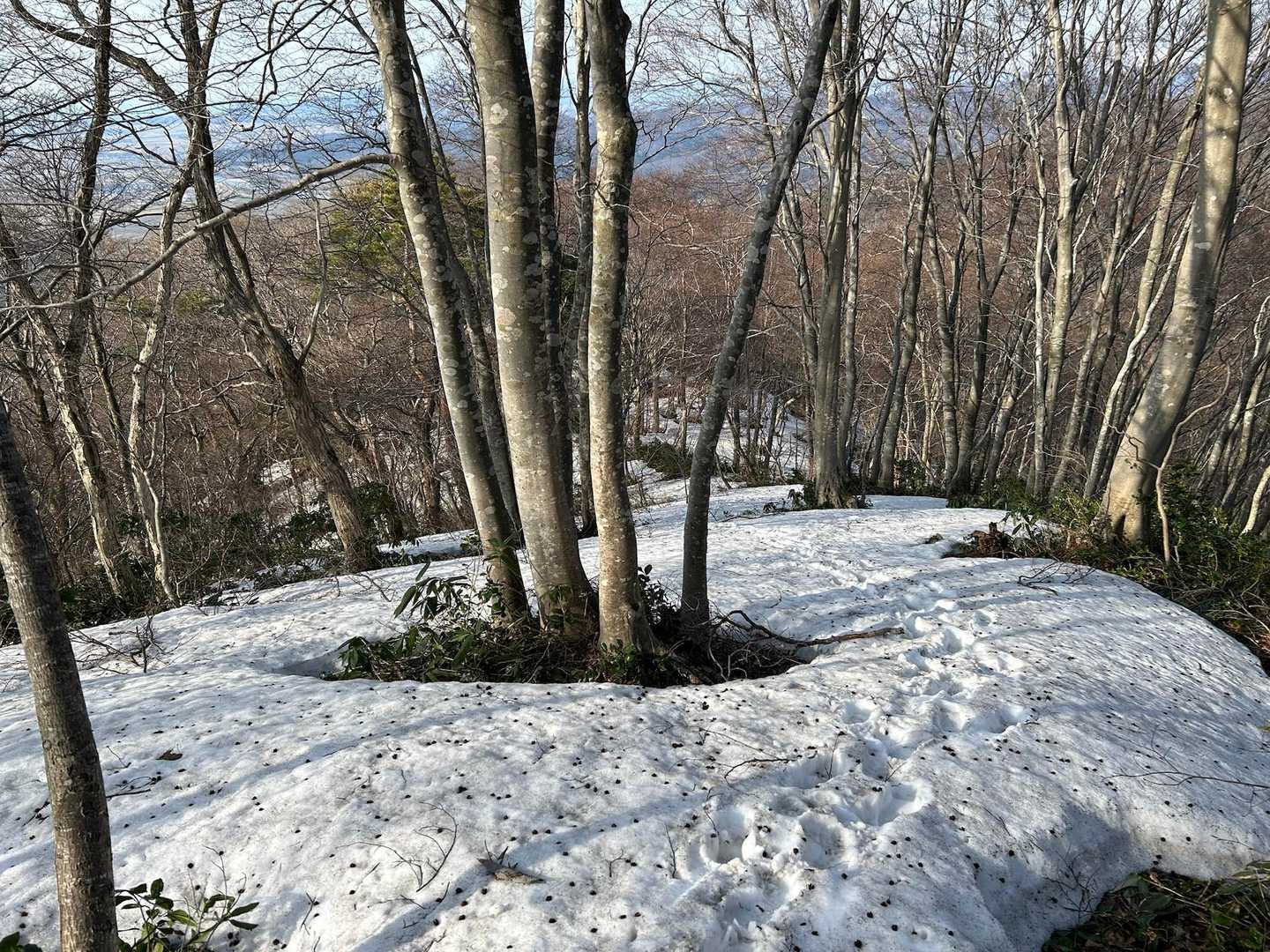 また雪現る