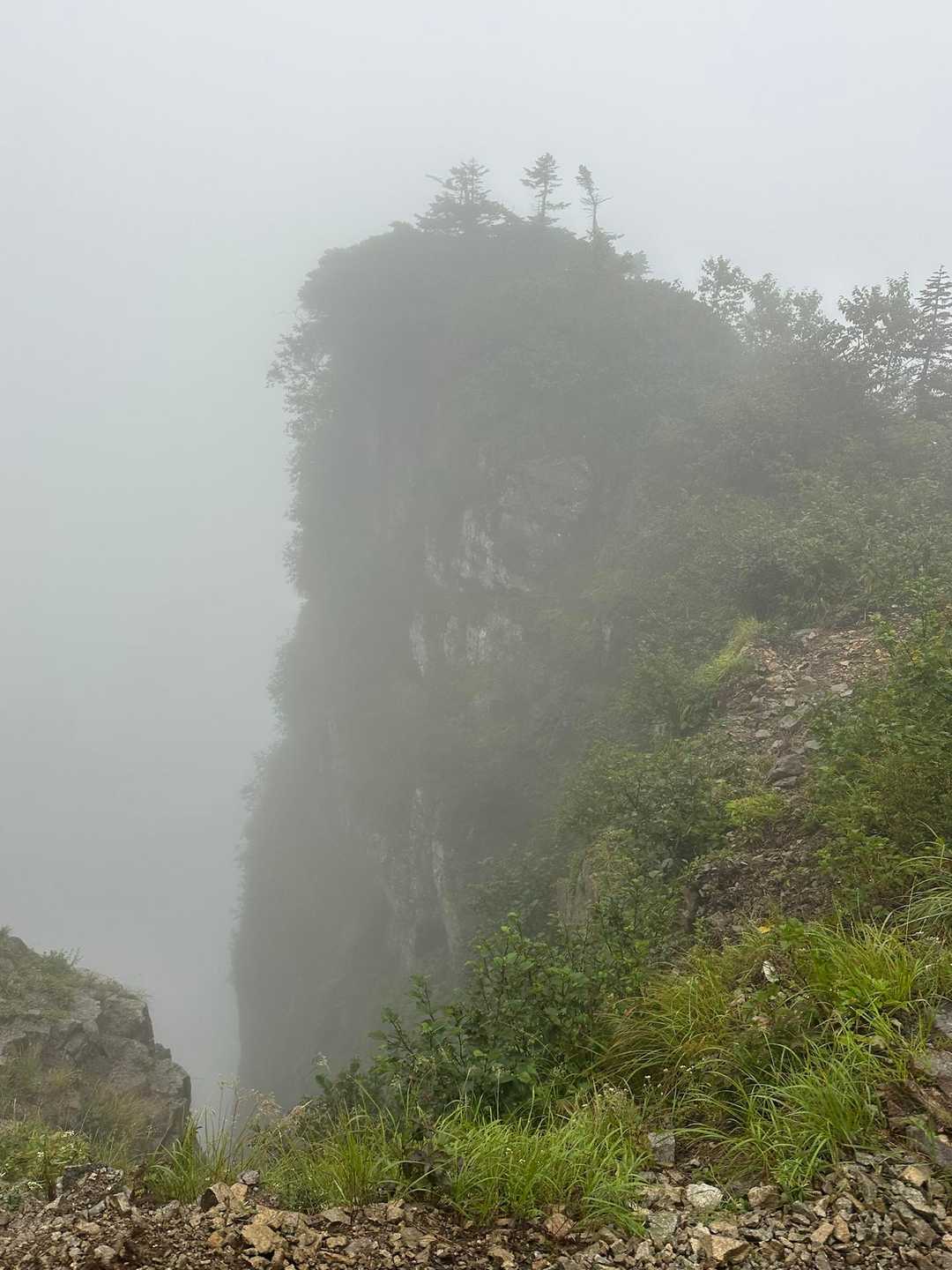 傾山を連想…🤣