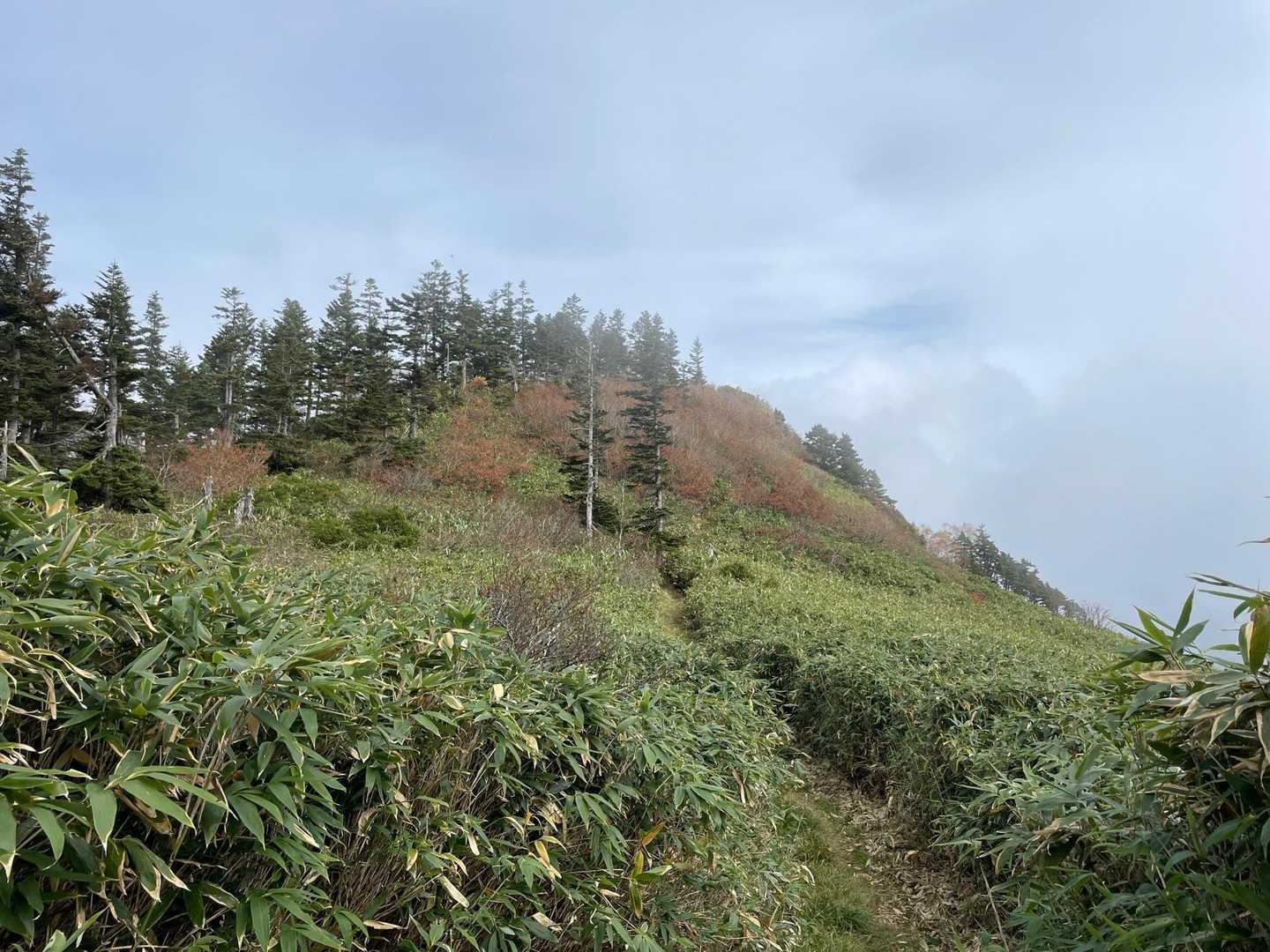 下山道ほ赤嵓の翼の上を歩いていく🚶
あそこが赤嵓ノ頭(1839m)
笹道のところが結構あったが、どこも刈ってある thank youです(藪漕なし)